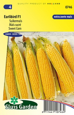 Sweet corn Earlibird F1 (Zea mays) 17 seeds SL